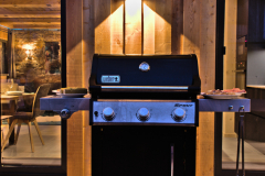 Gasgrill