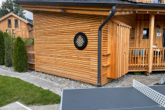 Dartscheibe