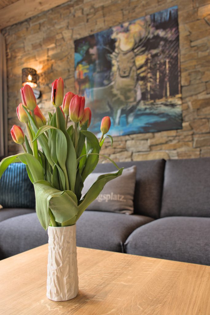 Chalet Almzeit - Ambiente 1