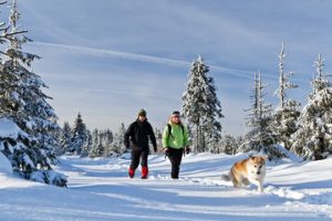 Winterwandern